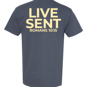 LVLKLM - Comfort Color T-Shirt